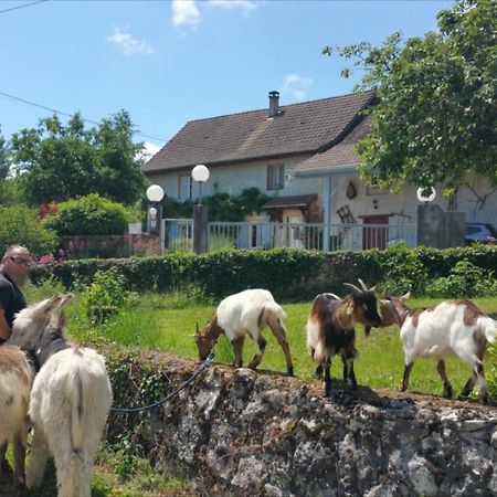 Bed and Breakfast Basse-Cour De Montin Au 256 Chemin De La Rocaille A 38510 Vezeronce Curtin Morestel Zewnętrze zdjęcie